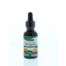 Foto van Natures Answer Astragalus extract 1:1 alcoholvrij