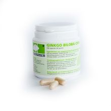 Foto van Naturapharma Ginkgo biloba CMN plus
