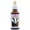 Afbeelding van Animal Essences Badger (das)