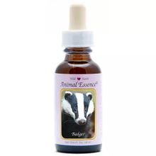 Foto van Animal Essences Badger (das)