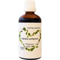 Cynara scolymus artisjok