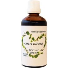 Foto van Cynara scolymus artisjok