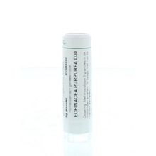 Foto van Homeoden Heel Echinacea purpurea D30