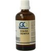 Afbeelding van GO Sequoia gigantea bio