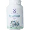 Afbeelding van Mycopower Coriolus bio