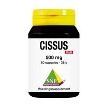 Foto van SNP Cissus 500 mg puur