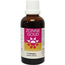 Foto van Crataegus simplex