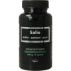 Afbeelding van Apb Holland Salie puur 500mg