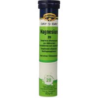 Kruger Magnesium bruistablet