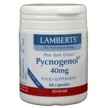 Foto van Lamberts Pijnboombast extract (Pycnogenol 40 mg)