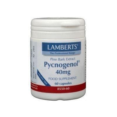 Lamberts Pijnboombast extract (Pycnogenol 40 mg)