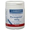 Afbeelding van Lamberts Pijnboombast extract (Pycnogenol 40 mg)