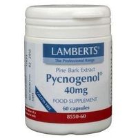 Lamberts Pijnboombast extract (Pycnogenol 40 mg)