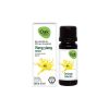 Afbeelding van OAK Ylang ylang totum