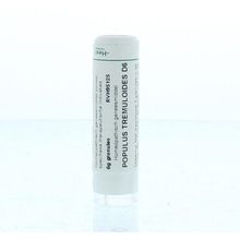 Foto van Homeoden Heel Populus tremuloides D6