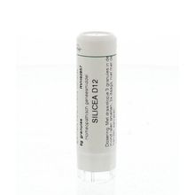 Foto van Homeoden Heel Silicea D12