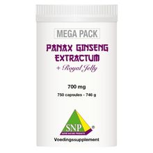 Foto van SNP Panax ginseng extract megapack