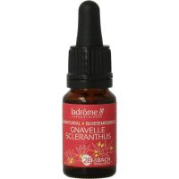 Ladrome Scleranthus / hardbloem bio