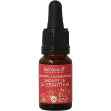 Foto van Ladrome Scleranthus / hardbloem bio