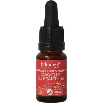 Foto van Ladrome Scleranthus / hardbloem bio