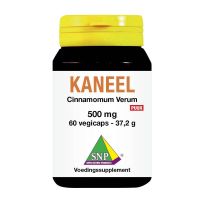 SNP Kaneel 500 mg