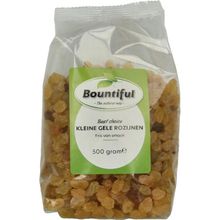Foto van Bountiful Rozijnen geel klein