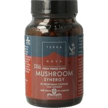 Foto van Terranova Mushroom synergy complex
