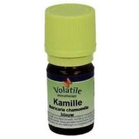 Volatile Kamille blauw