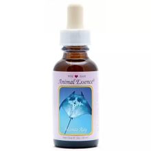 Foto van Animal Essences Manta ray (reuzenmanta)