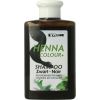 Afbeelding van Henna Cure & Care henna cure shamp colour+ zwart