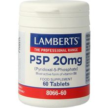 Foto van Lamberts Vitamine B5 (P5P) 20 mg