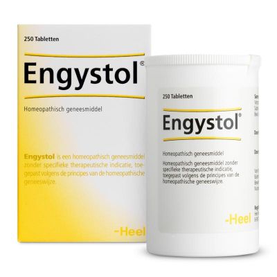 Foto van Heel Engystol