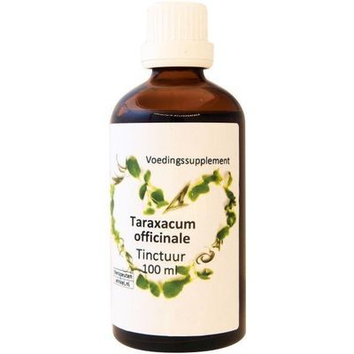 Foto van Taraxacum officinalis