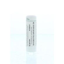 Foto van Homeoden Heel Myosotis arvensis D6