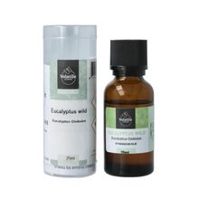 Foto van Volatile Eucalyptus wild
