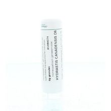 Foto van Homeoden Heel Hydrastis canadensis D6