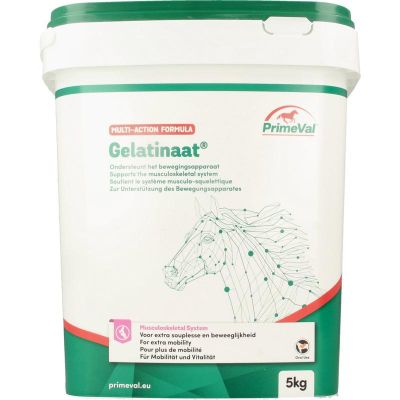 Primeval Gelatinaat paard Foto van Primeval Gelatinaat paard