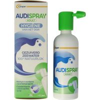 Audi spray