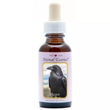 Foto van Animal Essences Raven (raaf)