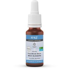 Foto van Lemonpharma Bach Bach bloesems mengeling 42 vertrouwen