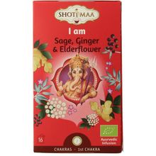 Foto van Shoti Maa I am