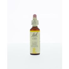 Foto van Gorse / gaspeldoorn