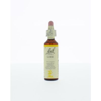 Foto van Gorse / gaspeldoorn