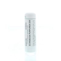 Homeoden Heel Echinacea purpurea D30