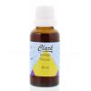 Afbeelding van Solidago guldenroede