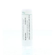 Foto van Homeoden Heel Zincum valerianicum D12