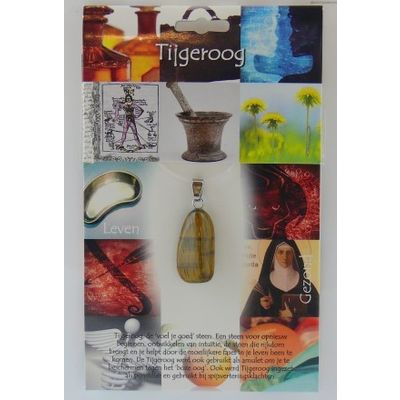 Hanger gezondheidssteen tijgeroog 1 stuks - 