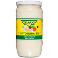 Delaan Mayonaise reform groot