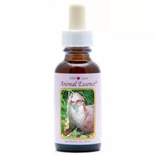 Foto van Animal Essences Otter