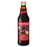 Rabenhorst Berry selection